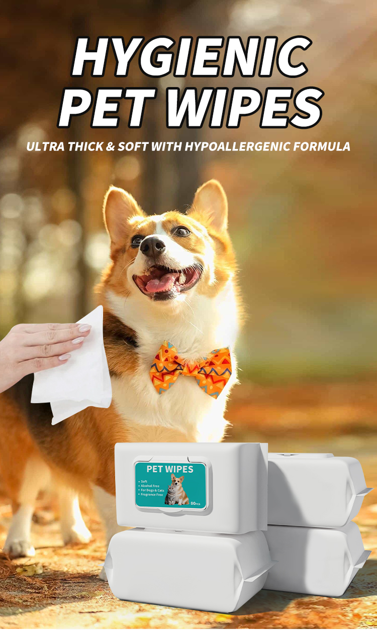 Daily hygiene scenario